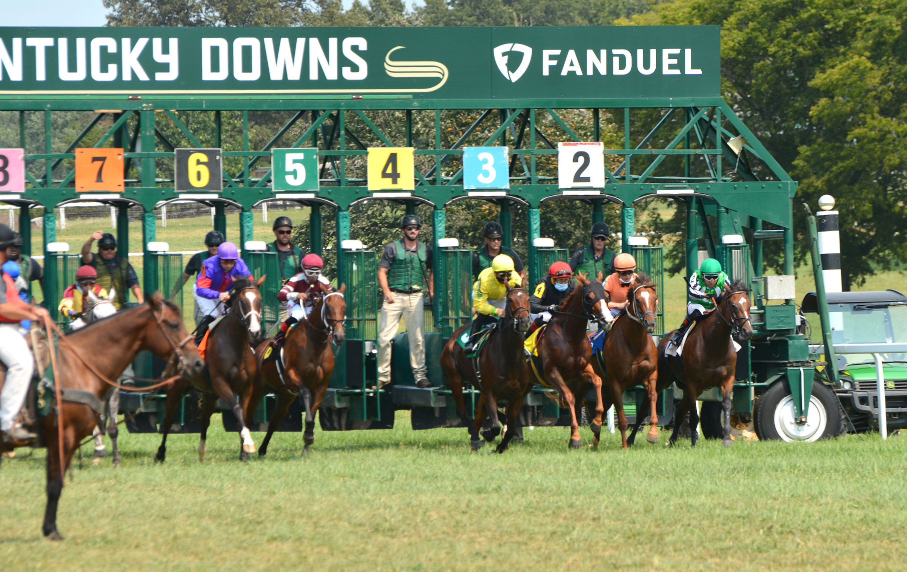 Live at the races